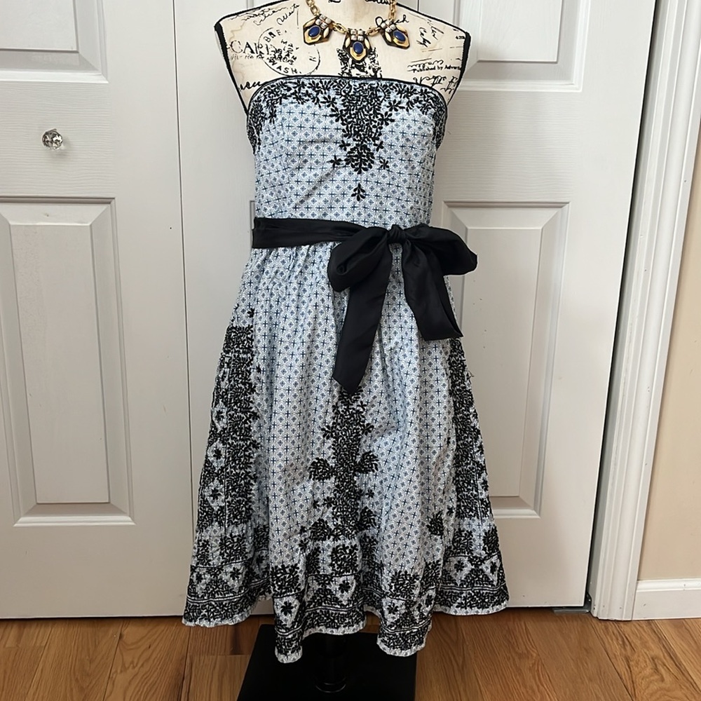 Anthropologie Moulinette Soeur Embroidered strapless Dress with Ribbon Belt Sz 8 - Picture 4 of 14